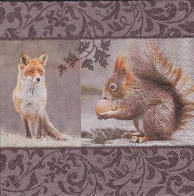 Fox meets squirrel (E-3)